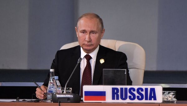 Президент РФ В. Путин на Десятом саммите БРИКС в ЮАР. День второй - Sputnik Moldova-România