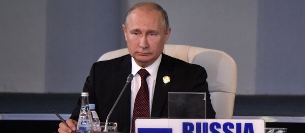 Президент РФ В. Путин на Десятом саммите БРИКС в ЮАР. День второй - Sputnik Moldova