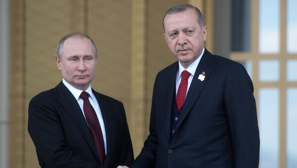 Визит президента РФ В. Путина в Турцию - Sputnik Moldova-România