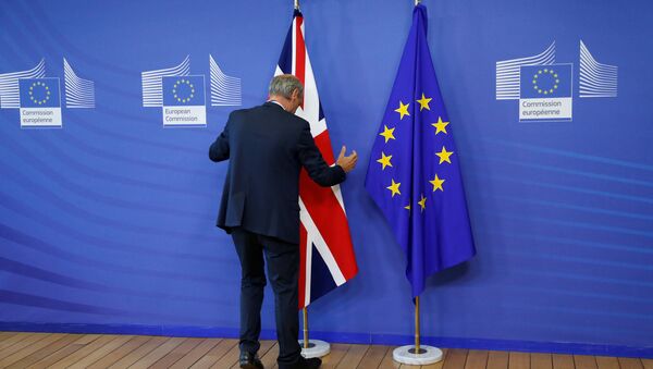Flags are arranged at the EU headquarters as Britain and the EU launch Brexit talks in Brussels, June 19, 2017 - Sputnik Moldova-România