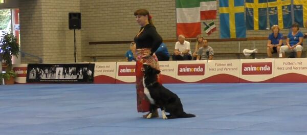 Невероятное видео: собака мастерски станцевала Цыганочку - Sputnik Молдова