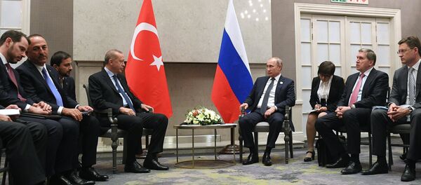 Президент РФ В. Путин на Десятом саммите БРИКС в ЮАР Президент РФ В. Путин на Десятом саммите БРИКС в ЮАР - Sputnik Moldova-România