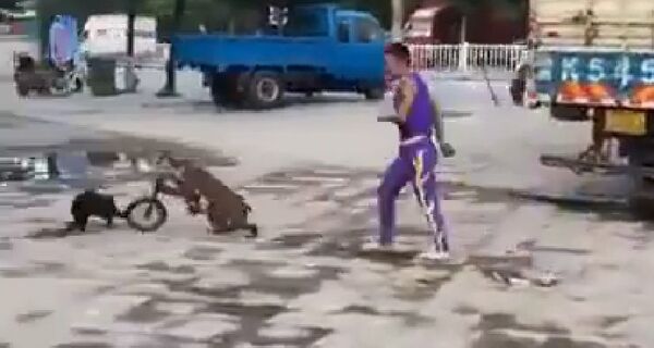 Обезьяна и велосипед Обезьяна и велосипед - Sputnik Молдова