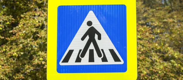 Дорожный знак - Sputnik Moldova