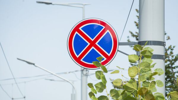 Indicator rutier - Imagine simbol - Sputnik Moldova