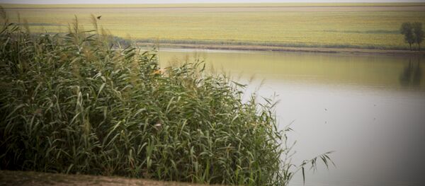 Озеро Озеро - Sputnik Moldova