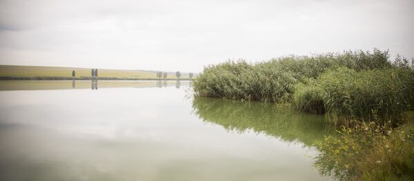 Озеро Озеро - Sputnik Moldova