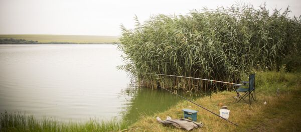 Рыбалка - Sputnik Молдова