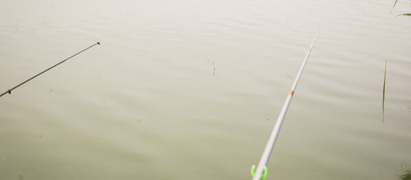 Рыбалка - Sputnik Молдова