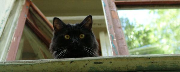 Житель Культурно-просветительского центра Булгаковский дом. - Sputnik Молдова