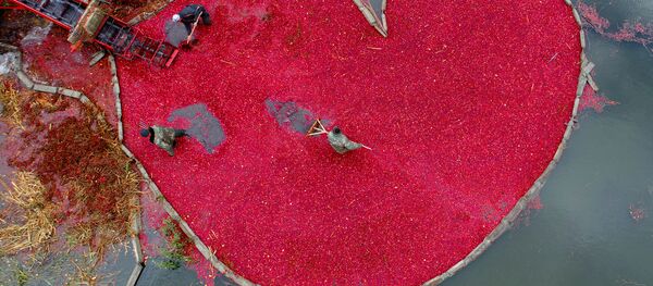 Клюквенное сердце - Sputnik Молдова