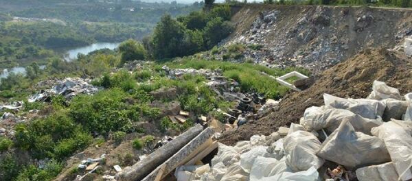 Свалка в коммуне Трушены в муниципии Кишинев - Sputnik Молдова