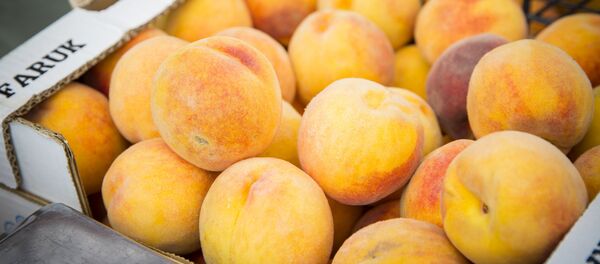 Piersici - Sputnik Moldova