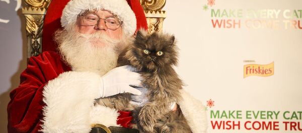 Санта-Клаус, архивное фото. Санта-Клаус, архивное фото. - Sputnik Молдова