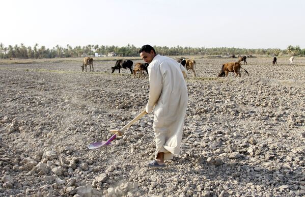 Un bărbat pe câmpul afectat de secetă în regiunea Mishab, Irak - Sputnik Moldova