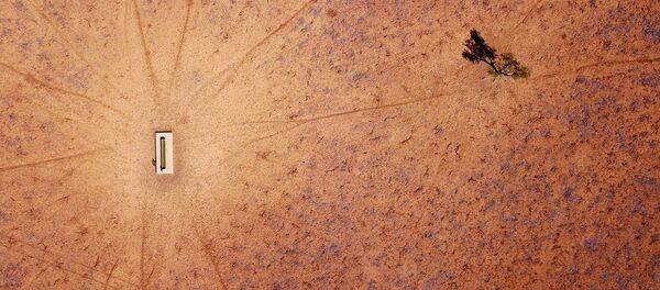 Secetă la periferia orașului Walgett, Australia - Sputnik Moldova