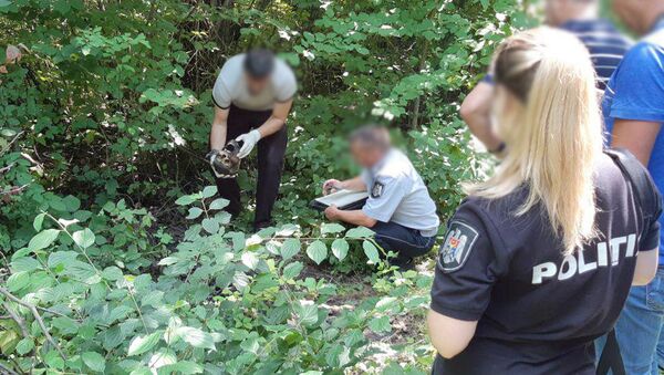 Poliția din Soroca a depistat un cadavru necunoscut cu semne de putrefacție și parțial carbonizat - Sputnik Moldova