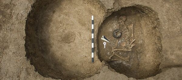 Древнее захоронение в зоне будущего строительства автодороги у города Аксай в Ростовской области - Sputnik Moldova