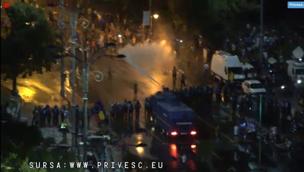 Protestul diasporei, intervenția poliției - Sputnik Moldova