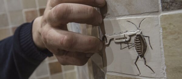 Таракан - Sputnik Молдова