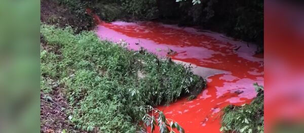 красная река - Sputnik Молдова