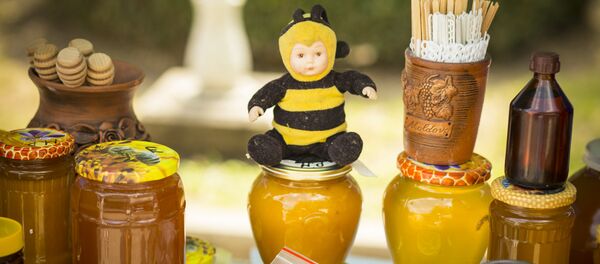 Ярмарка мёда Ярмарка мёда - Sputnik Moldova-România