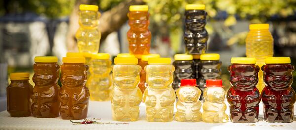 Ярмарка мёда - Sputnik Moldova