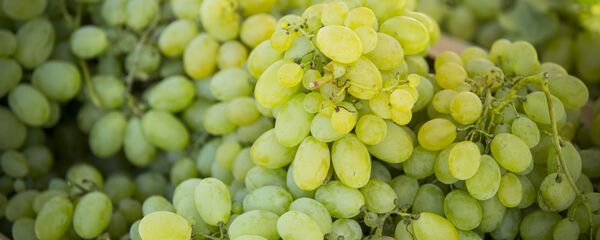 Виноград - Sputnik Moldova