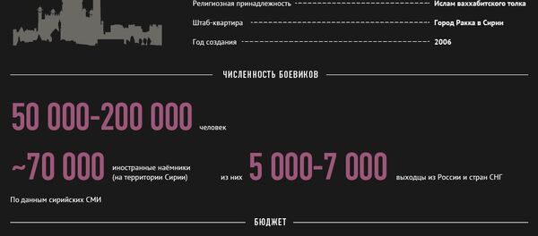 Исламское государство, одна из главных угроз мировой безопасности Исламское государство, одна из главных угроз мировой безопасности - Sputnik Молдова