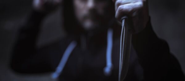 Agresor - Imagine Simbol - Sputnik Moldova