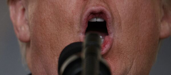 Donald Trump - Sputnik Moldova