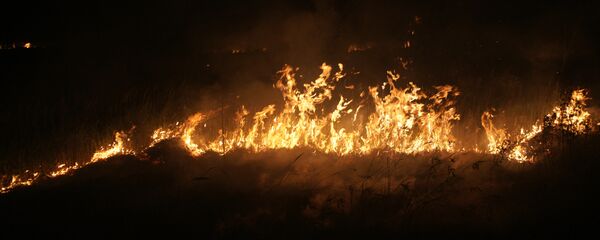 Лесной пожар, возникший в результате взрывов на Приволжском государственном боеприпасном испытательном полигоне - Sputnik Молдова