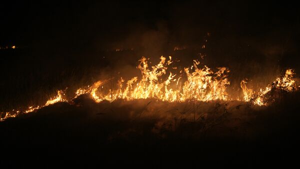 Лесной пожар, возникший в результате взрывов на Приволжском государственном боеприпасном испытательном полигоне - Sputnik Молдова