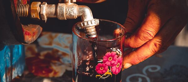 Ziua Vinului Orhei День Вина в Оргеев - Sputnik Moldova