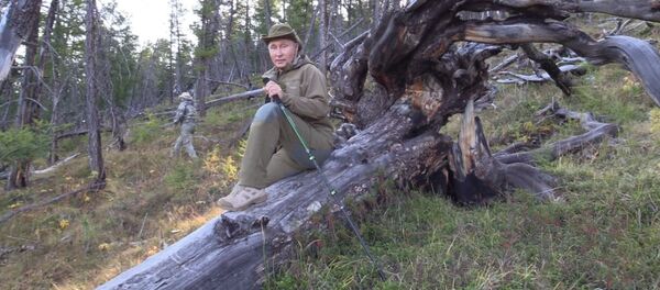 Отдых президента: грибы, ягоды и прогулки по горам в Туве Отдых президента: грибы, ягоды и прогулки по горам в Туве - Sputnik Молдова