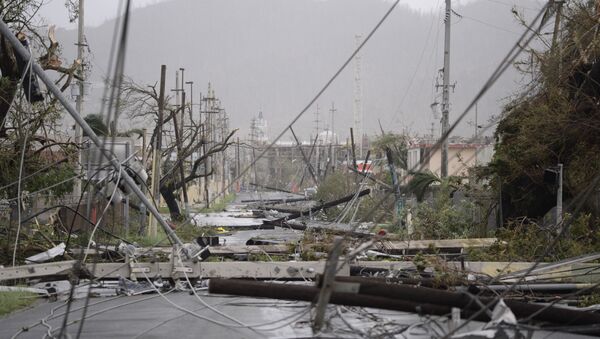 Puerto Rico Hurricane Maria - Sputnik Moldova-România