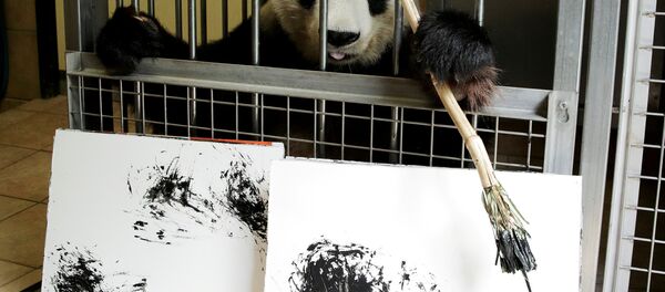 Panda - Pictor - Sputnik Moldova