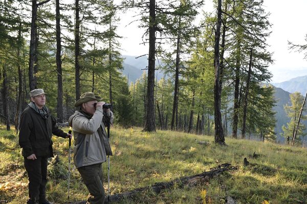 Отдых Путина в тайге: интересные детали Отдых Путина в тайге: интересные детали - Sputnik Молдова