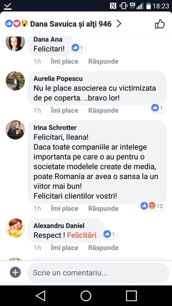 Reacții pictorial Udrea - Sputnik Moldova-România