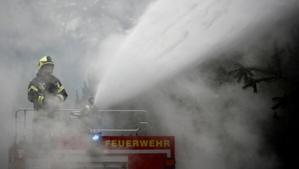 Firefighters help to put out a forest fire near Treuenbrietzen, Germany August 24, 2018. - Sputnik Moldova-România