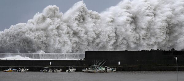 Taifunul ”Jebi” - Sputnik Moldova-România