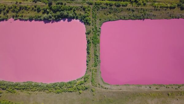 Розовые озера под Самарой - Sputnik Молдова