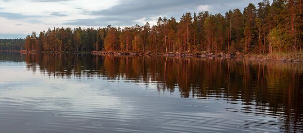 Берег лесного озера в Суоярвском районе Республики Карелия - Sputnik Молдова