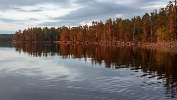 Берег лесного озера в Суоярвском районе Республики Карелия - Sputnik Молдова