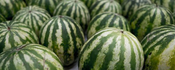 Арбузы, иллюстративное фото. Арбузы, иллюстративное фото. - Sputnik Молдова