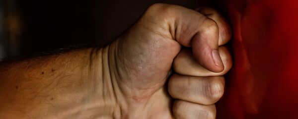 Кулак - Sputnik Молдова