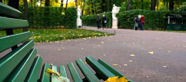 Листья на лавочке в Летнем саду в Санкт-Петербурге Листья на лавочке в Летнем саду в Санкт-Петербурге - Sputnik Молдова