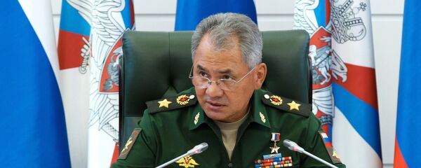Министр обороны РФ Сергей Шойгу - Sputnik Moldova-România