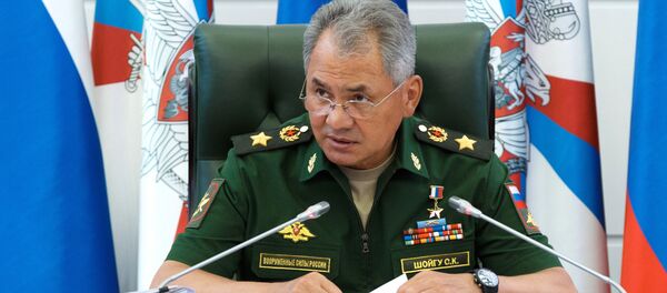 Министр обороны РФ Сергей Шойгу - Sputnik Moldova-România