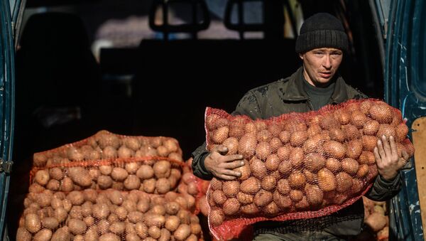 Торговля на рынке - Sputnik Молдова